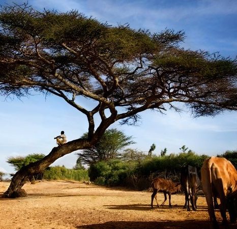 cropped-ethiopie-3-12814442741